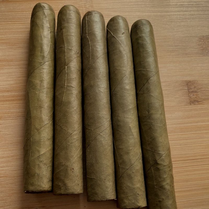 Candela